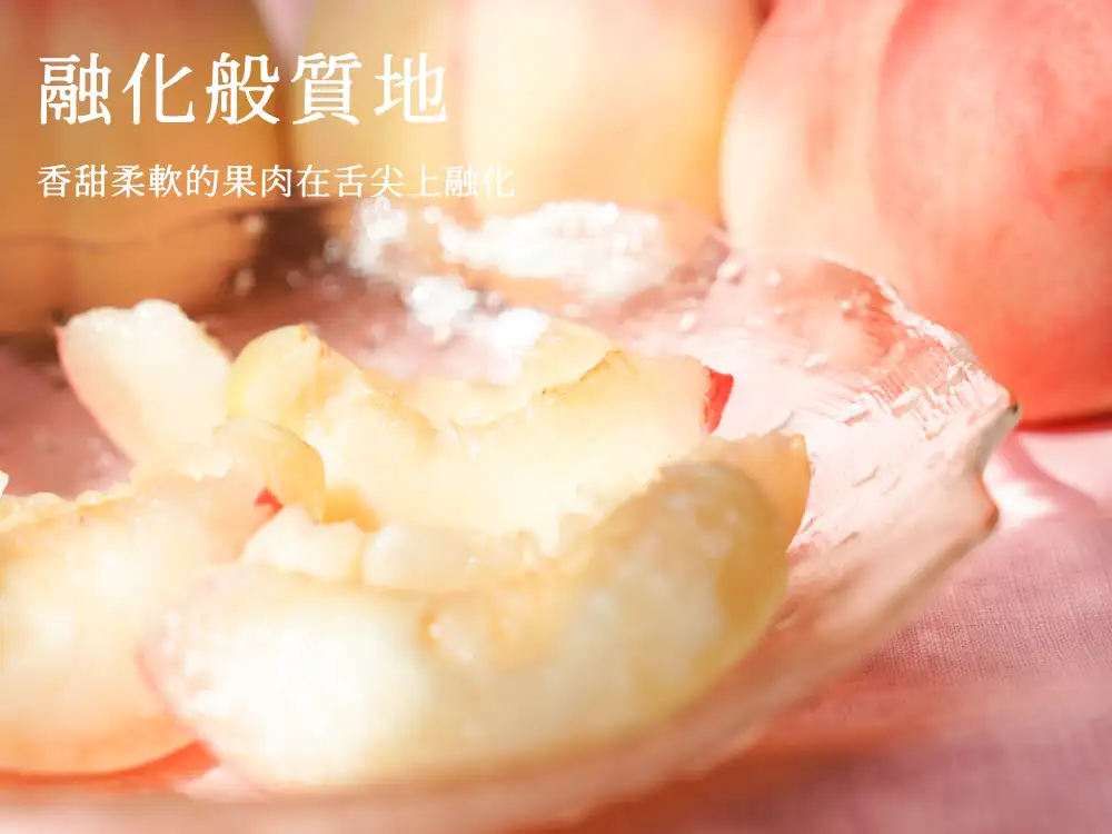 水蜜桃采收