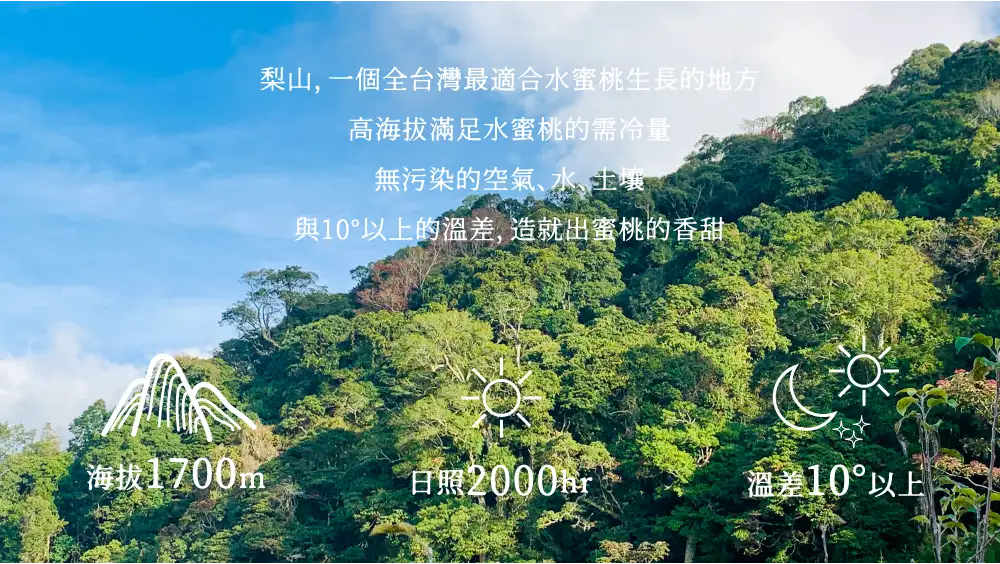 详情图六