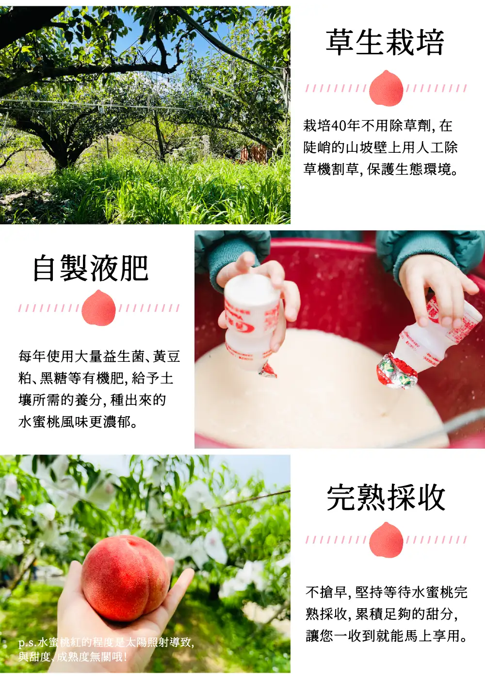 详情图七